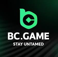 BC App Casino Explained Your Guide to Online Gaming